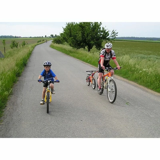Vodiaca tyč pre detský bicykel Trail Gator - inSPORTline