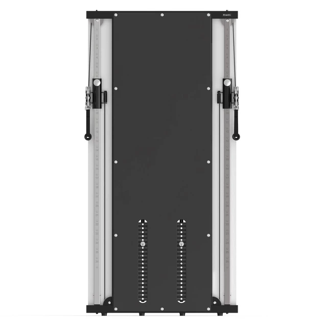 Wall-Mounted Power Rack inSPORTline Cable Column CC350