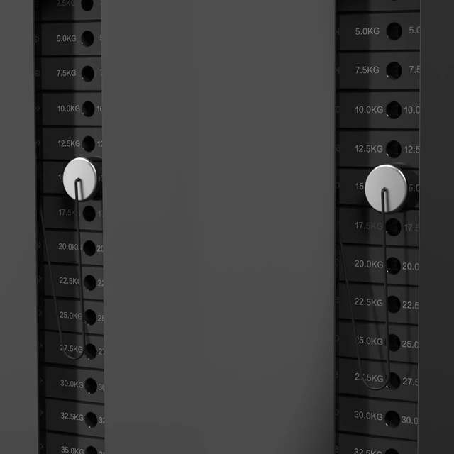 Wall-Mounted Power Rack inSPORTline Cable Column CC350