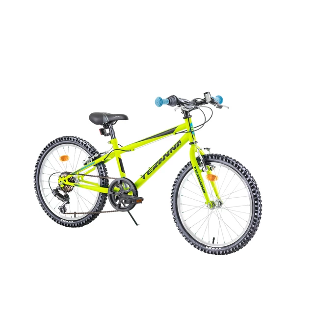 Gyermek kerékpár DHS Teranna 2021 20" - 2019 modell - inSPORTline