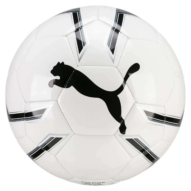 Soccer Ball Puma Pro Training 2 MS 8281901 White