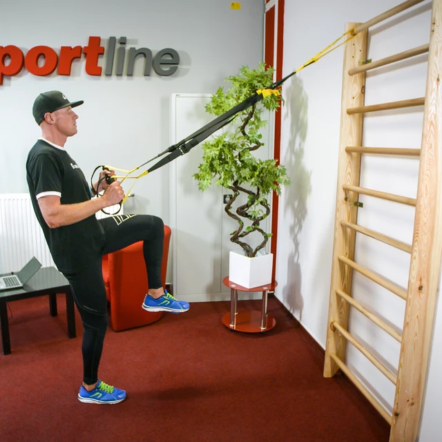 Drabinka gimnastyczna inSPORTline Directline 190 x 65 cm - lakierowane