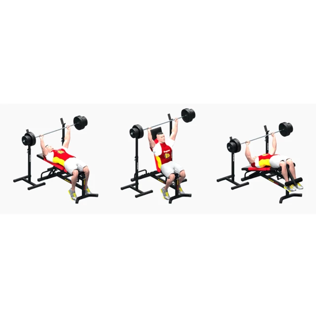 Workout Stand MAGNUS Classic MC-S001