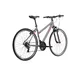 Női cross kerékpár Kross Evado 1.0 28" - 2023