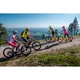 Mountain E-Bike Crussis e-Atland 1.1