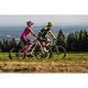 Mountain E-Bike Crussis e-Atland 1.1