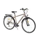 Mens Trekking bike DHS 2855 Travel 28"- model 2015 - Brown