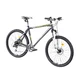 Mountain bike DHS Origin99 2629 26 "- model 2015 - Grey-Green