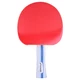 Star Table Tennis Racket