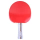 Star Table Tennis Racket