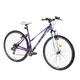 Women’s Mountain Bike DHS Terrana 2922 29ʺ – 2016 Offer - Violet-White