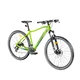 Mountain Bike Devron Riddle Man 1.9 29” – 2019 - Green