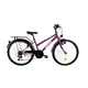 Junior Bike DHS 2414 24” – 2021 - Violet