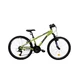 Junior Bike DHS Teranna 2423 24” – 2021 - Green