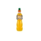 Isotonic Sports Drink Gatorade 500ml