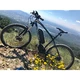Mountain E-Bike Devron 27225 with 11.6Ah Replacement Battery - 2016