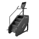 Fitness-Treppe inSPORTline ProfiStair Max SE