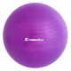 Gimnasztikai labda inSPORTline Top Ball 55 cm - sötét szürke - lila