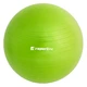 Gymnastický míč inSPORTline Top Ball 55 cm - fialová - zelená
