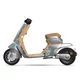 Electric Scooter Stardust 25