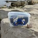 Swim Mask Box Aropec Transparent