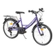 Detský bicykel DHS Kreativ 2014 - model 2014 - fialová