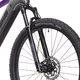 Mountain E-Bike Crussis e-Fionna 9.10 900Wh 29” – 2025