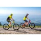 Mountain E-Bike Crussis e-Atland 7.6-S – 2021