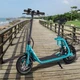 E-Scooter W-TEC Billar 500W 12” - Green