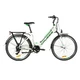 Urban E-Bike Crussis e-City 1.11 – 2020