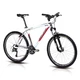 Horský bicykel 4EVER Convex 2013 - kotúčové brzdy - bielo-červená