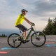 Mountain E-Bike Crussis e-Cross 7.6 - model 2021