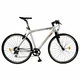 Urban bike DHS Origin 99 2895 28 "- model 2015 - Silver