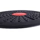 Balance Trainer inSPORTline Disk