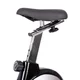 Exercise Bike inSPORTline Klegan - Black-Burgundy