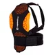 Spine Protector inSPORTline Tartarugo