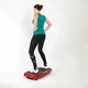 inSPORTline Pyrio Vibration Machine