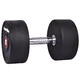 inSPORTline Profi Kurzhantel 40 kg