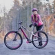 Damen E-Mountainbike Crussis e-Fionna 9.7-S - model 2022