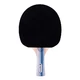 Table Tennis Paddle inSPORTline Ratai S1