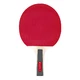Table Tennis Set inSPORTline Ekiset EK1