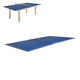 Ping Pong Table Top inSPORTline Sunny Top