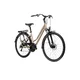 Women’s Trekking Bike Kross Trans 3.0 28” – 2025 - hnědá / stříbrná / matný - hnědá / stříbrná / matný