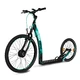 E-Scooter Mamibike EASY w/ Quick Charger - Black-Turqouise