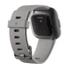 Fitbit Versa 2 Stone/Mist Grey Smartwatch
