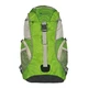 Bag Husky Spring 12L - Green