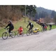Vodiaca tyč pre detský bicykel Trail Gator