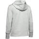 Dámska mikina Under Armour Cotton Fleece Sportstyle Logo Hoodie