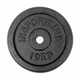 Plate-Loaded Dumbbell Set inSPORTline Castblack 160 + 120 + 40/30 mm 125 kg