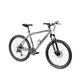 MTB bike DHS Flames 2688 26" - model 2013 - Grey